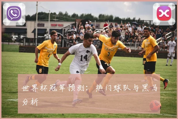 世界杯冠军预测：热门球队与黑马分析