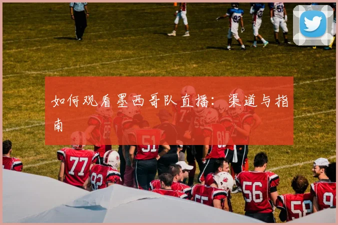 如何观看墨西哥队直播:渠道与指南