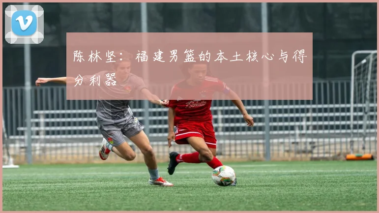 陈林坚：福建男篮的本土核心与得分利器