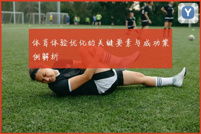 体育体验优化的关键要素与成功案例解析