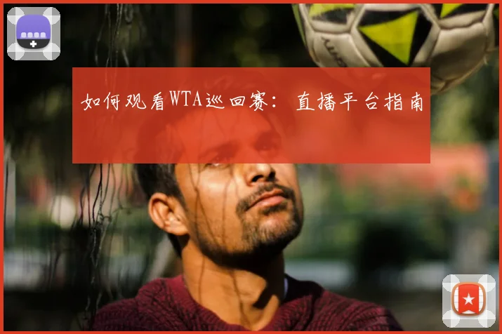 如何观看WTA巡回赛：直播平台指南